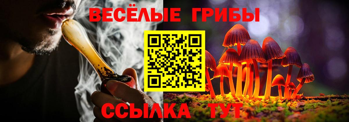 Псилоцибиновые грибы Magic Shrooms  Галлюциногенные грибы прущие грибы  Вход с VPN  Нижний Новгород 